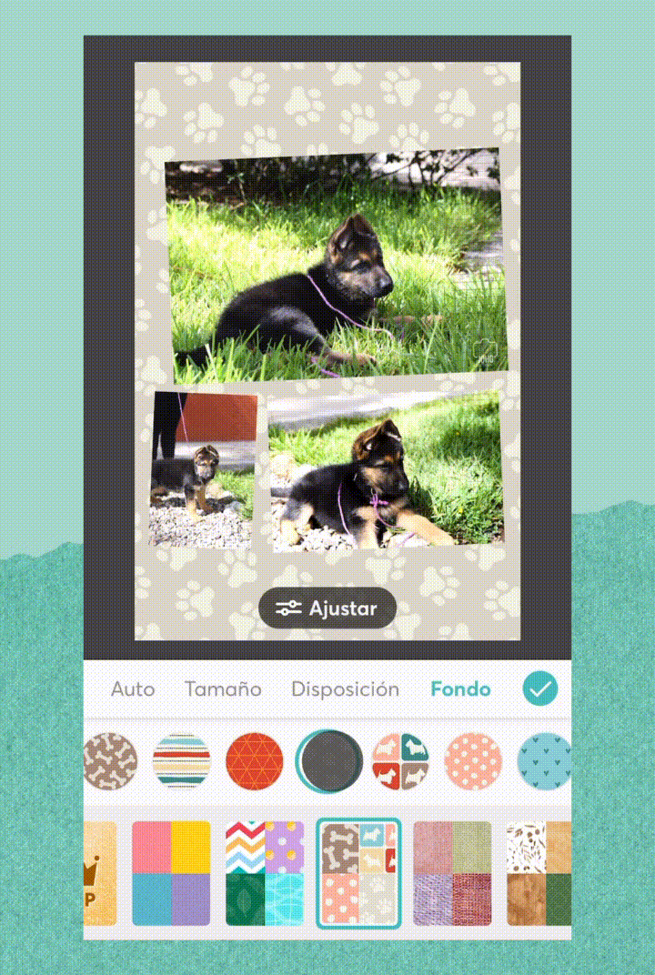 PicCollage_iOS_Taman_o_Disposicio_n_Fondo.gif