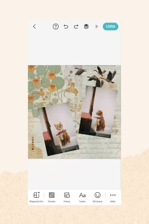 Movable Photo Frame_Spanish.gif